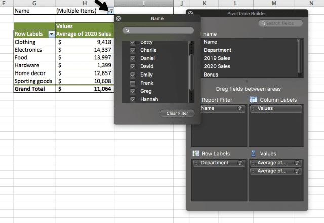 pivot table in excel 11. filter names